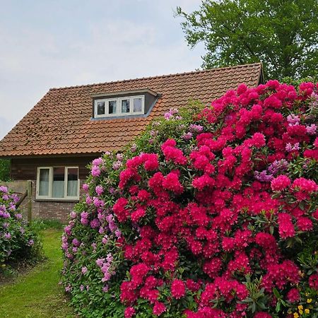 Holiday Home Countryside, Langbroek / 多尔恩 外观 照片