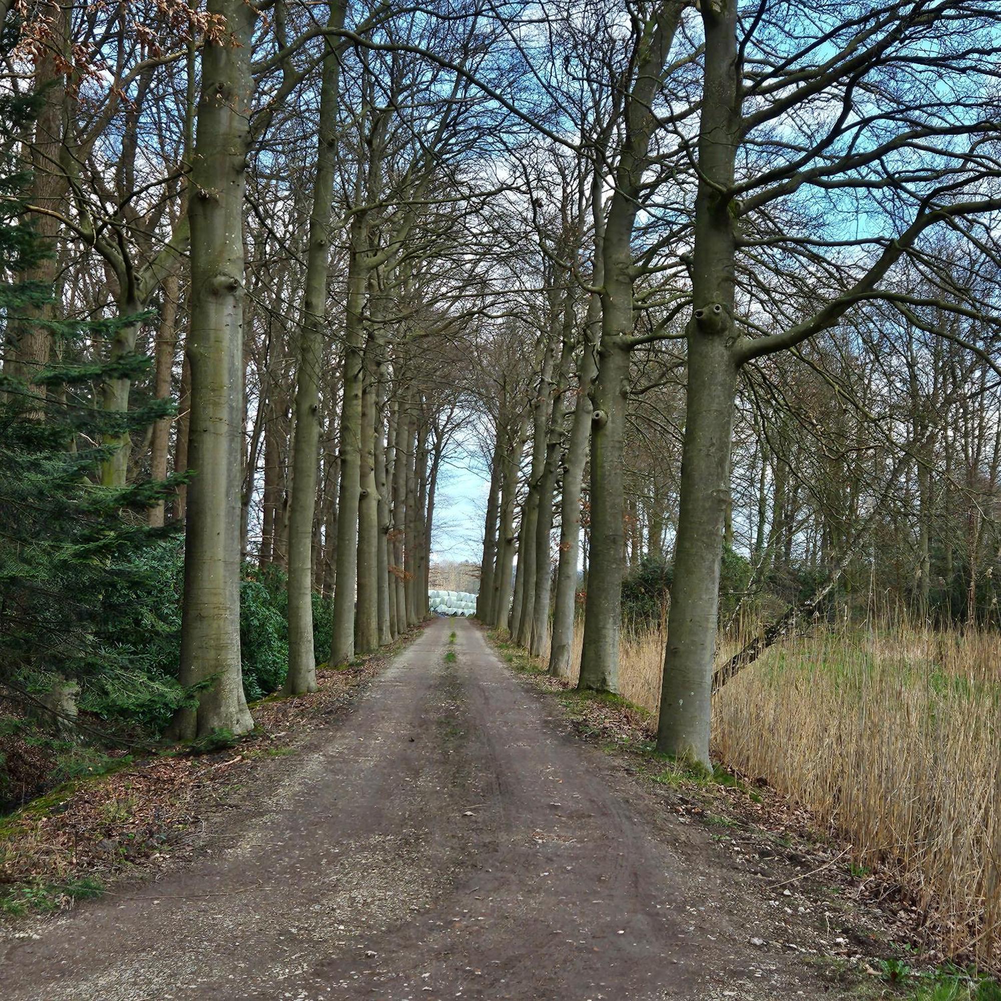 Holiday Home Countryside, Langbroek / 多尔恩 外观 照片