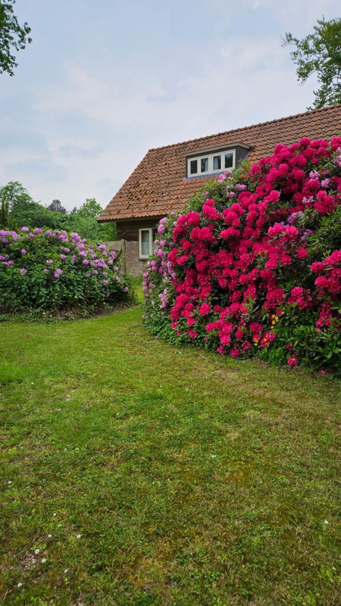 Holiday Home Countryside, Langbroek / 多尔恩 外观 照片